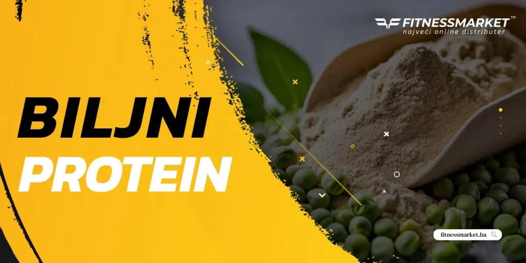 Biljni protein i energija – prirodna podrška organizmu